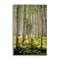 Stupell Industries Small And Tall Birch Forest Framed Giclee, design by D. Burt